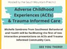 Meeting & Presentation: ACEs/Trauma Care